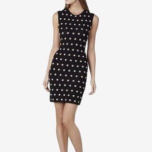 BCBG Polka Dot Sweater Dress